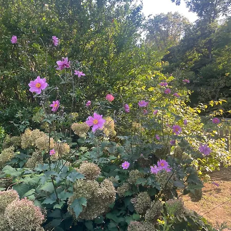 Casetta Dei Lagoni Tatil Evi