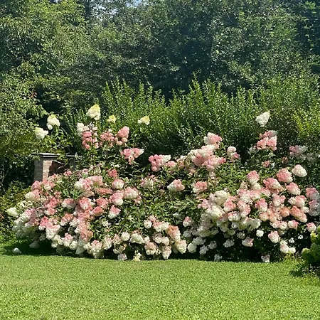 Casetta Dei Lagoni Tatil Evi Arona